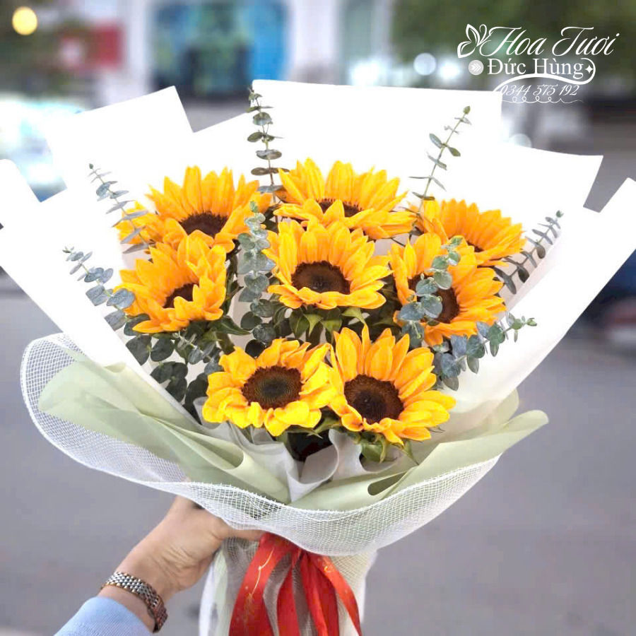 Bó Hướng Dương